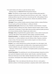 www.speros.lt